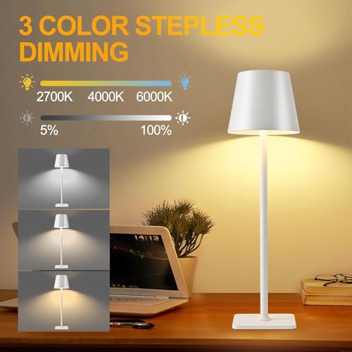 Cordless Table Lamp
