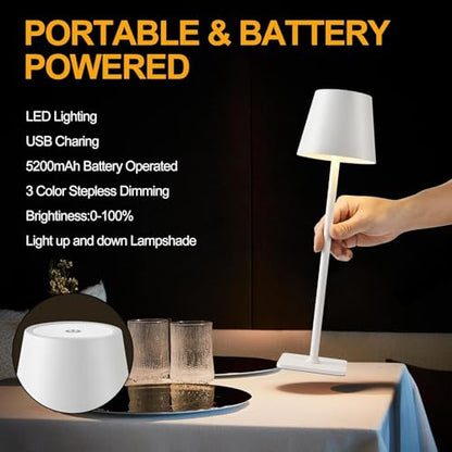Cordless Table Lamp