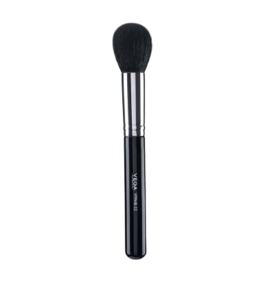 Special Eye Brush